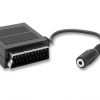 Adattatore scart - presa jack stereo 3,5 mm