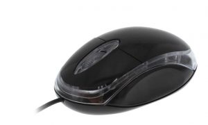 Mouse ottico compatto 1200 dpi